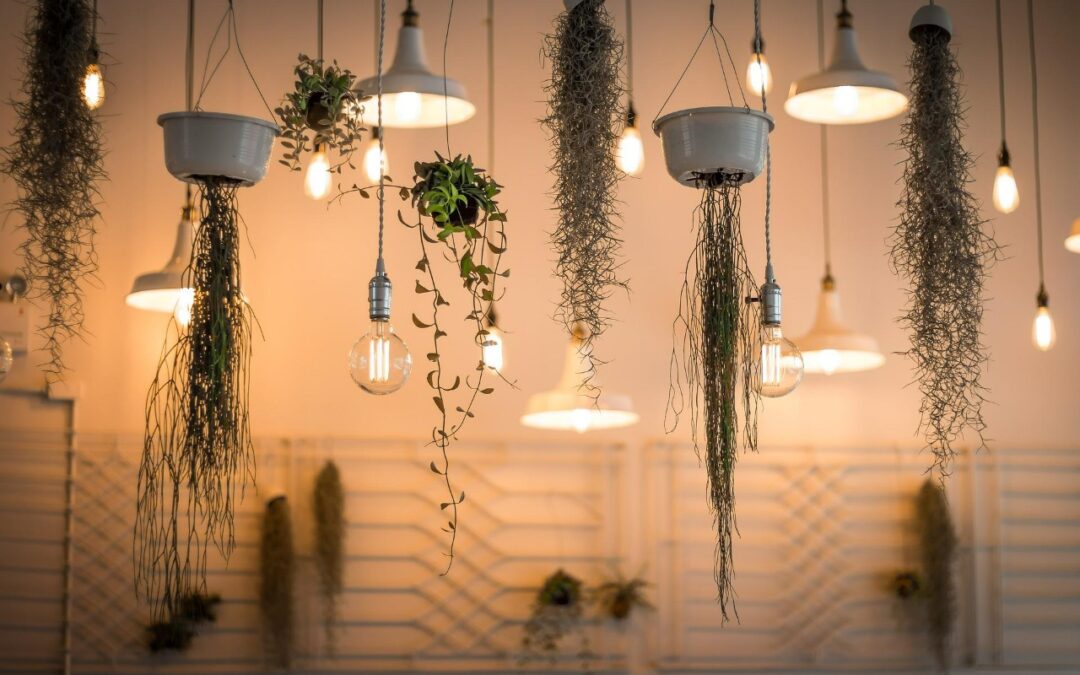 Add Some Greenery To Your Interior Decoration